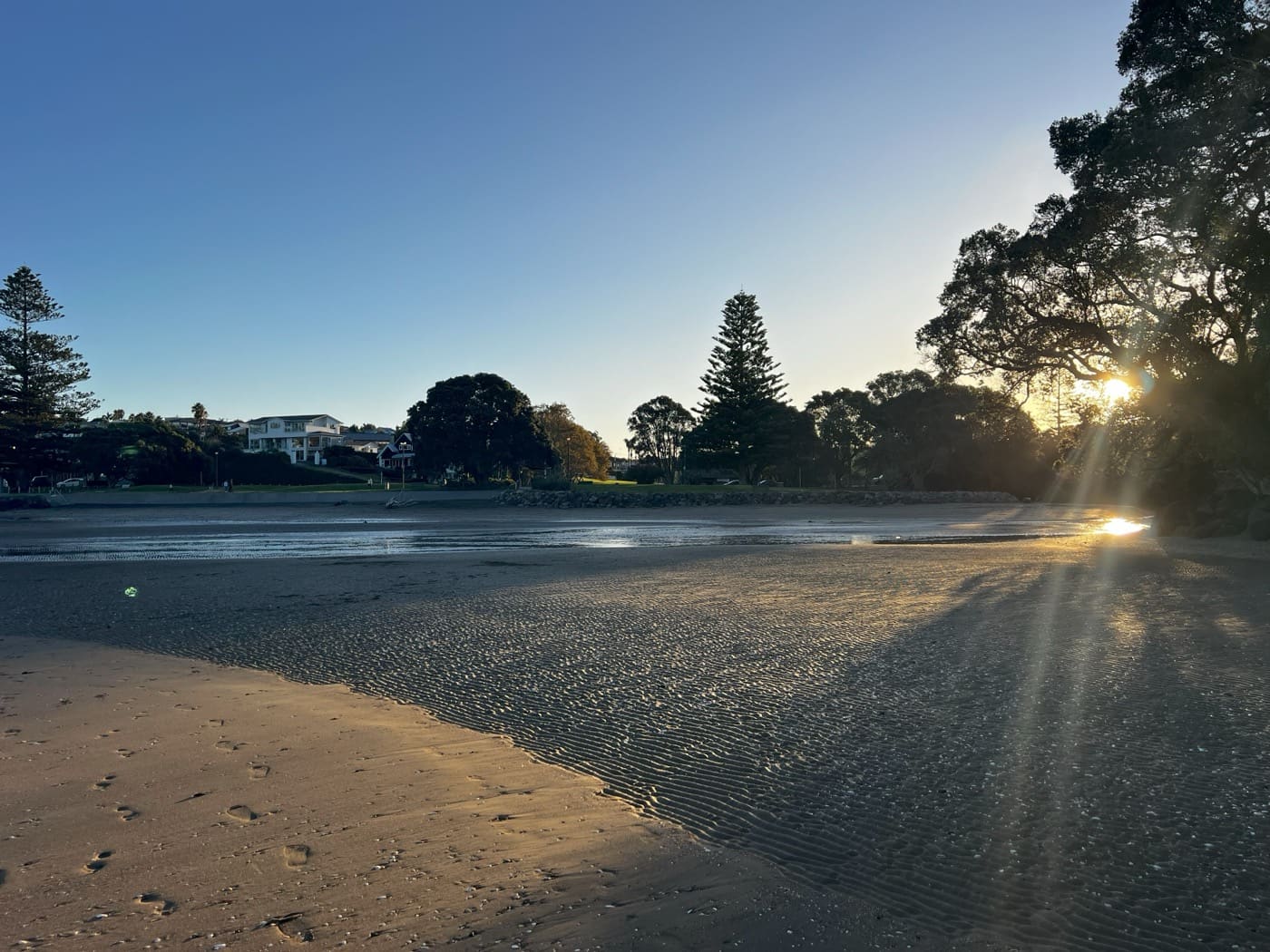 Evening light at Waiake Beach