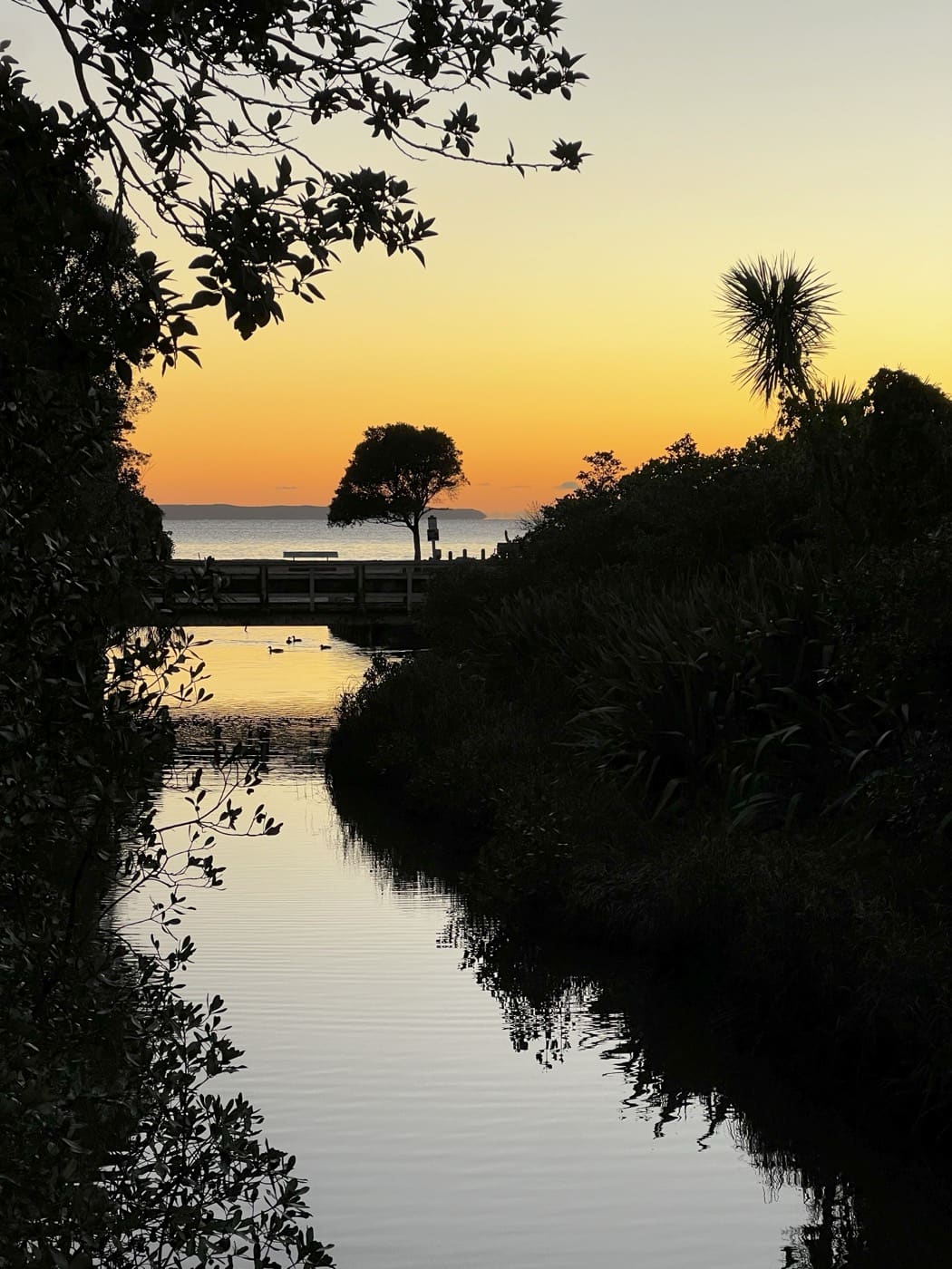 Calm tidal water at dusk
