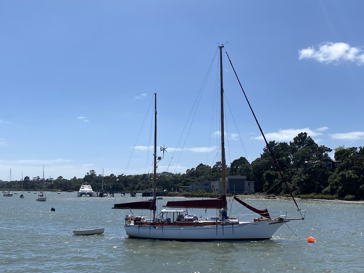 Harbour cruise