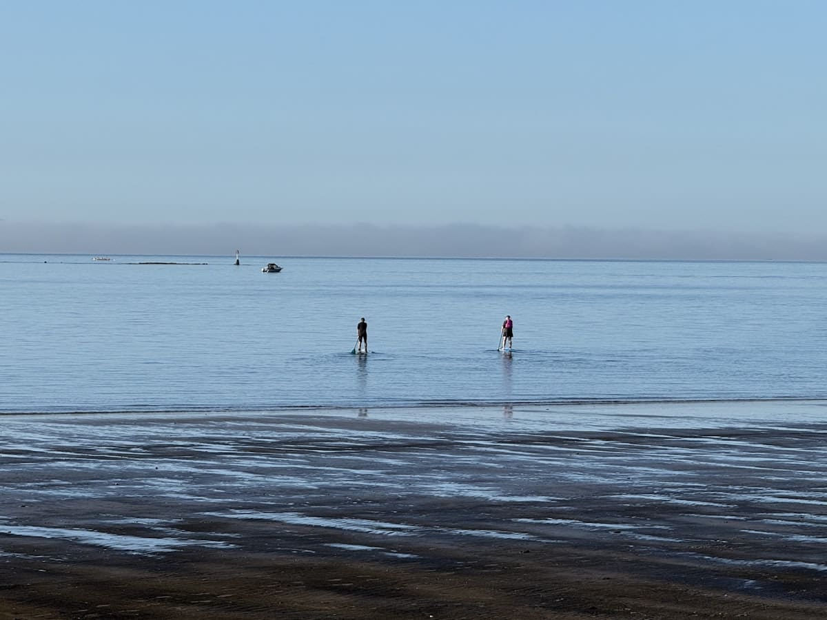 Day Sea Kayak Tour to Tiritiri Matangi Island