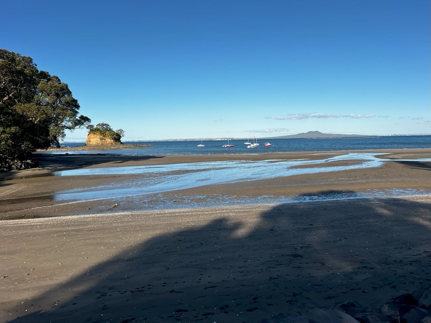 Low tide on the Long Bay coast