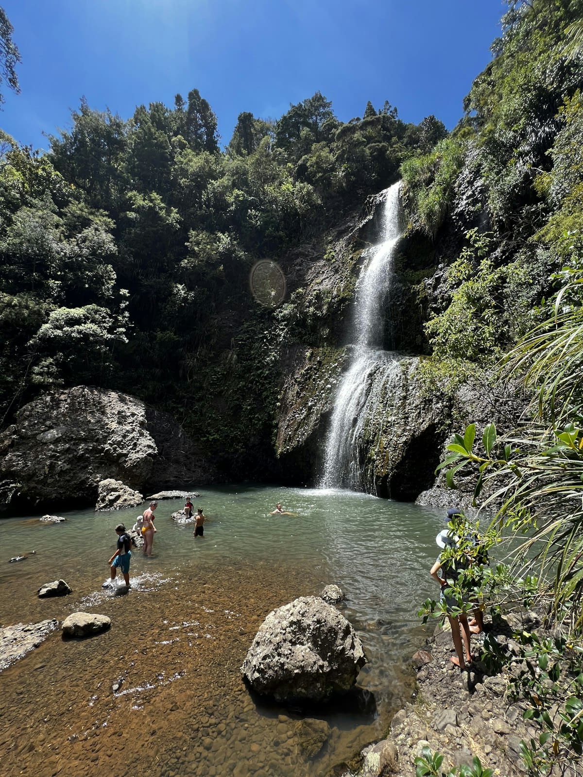 Muriwai Beach