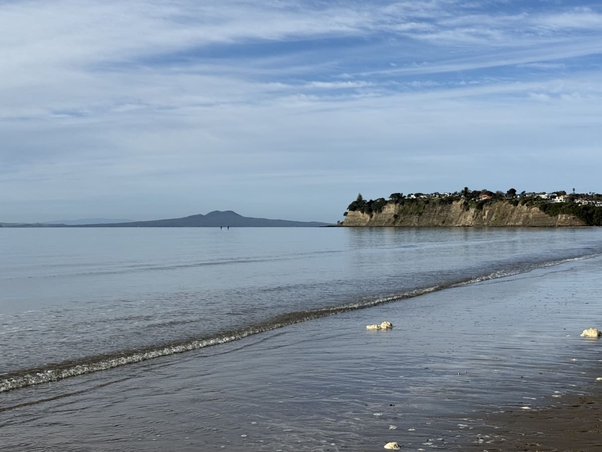 Tiritiri Matangi Island