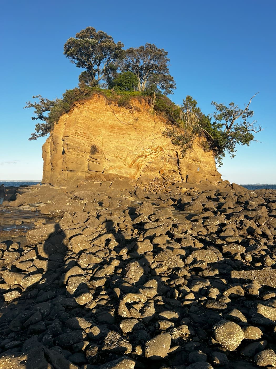 The Tor at Waiake Beach