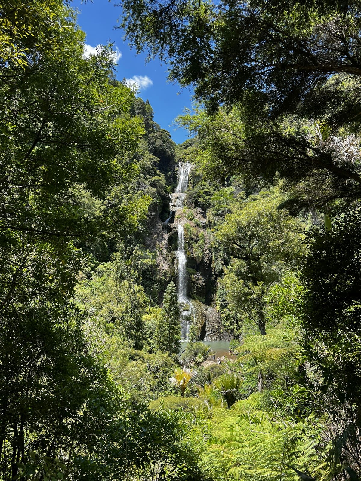 Waitākere Ranges — Cascade Loop Walk