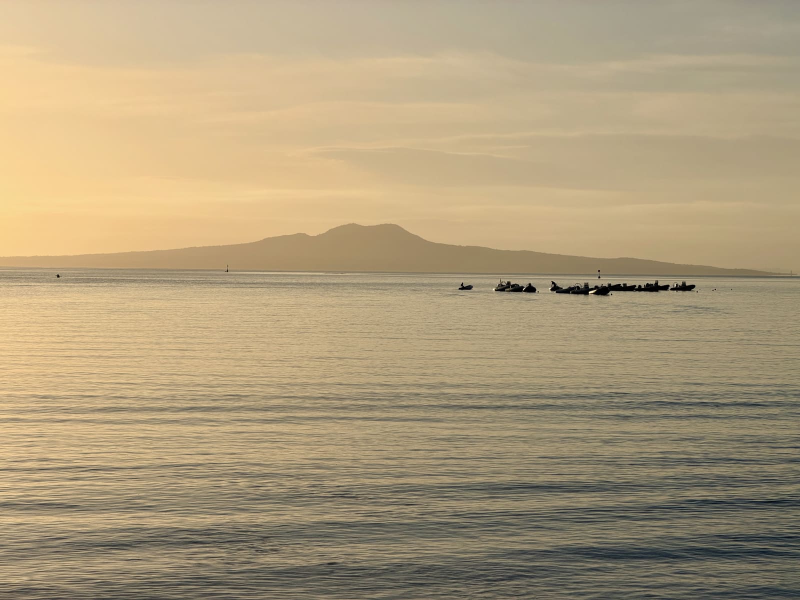 Coach boats heading out at dawn with Rangitoto behind