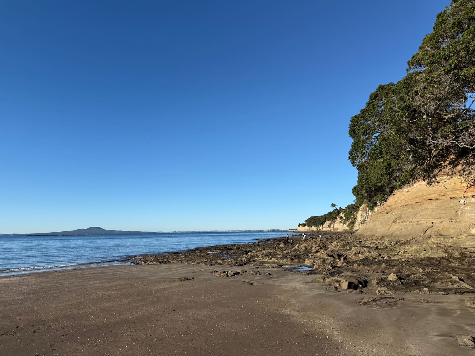 Waiake Beach, the cliffs and Rangitoto on a blue morning