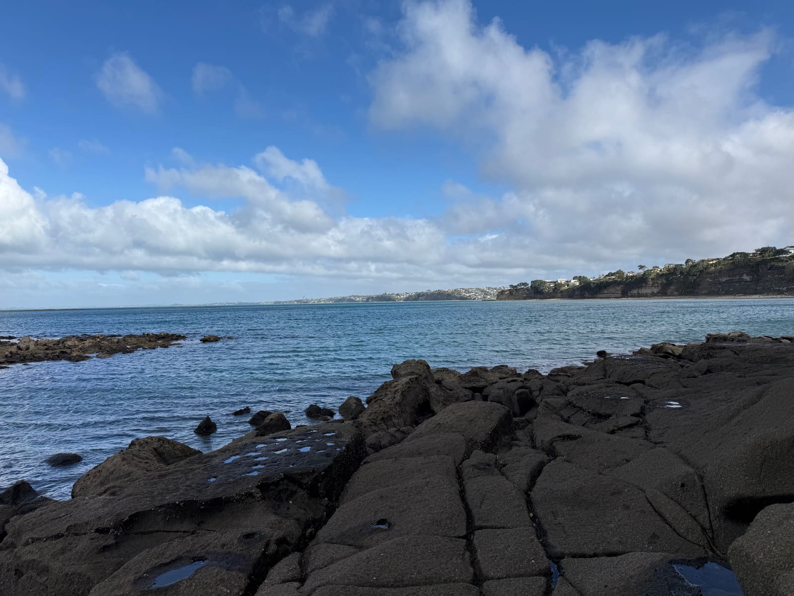 The rock shelf at low tide, Long Bay cliffs beyond