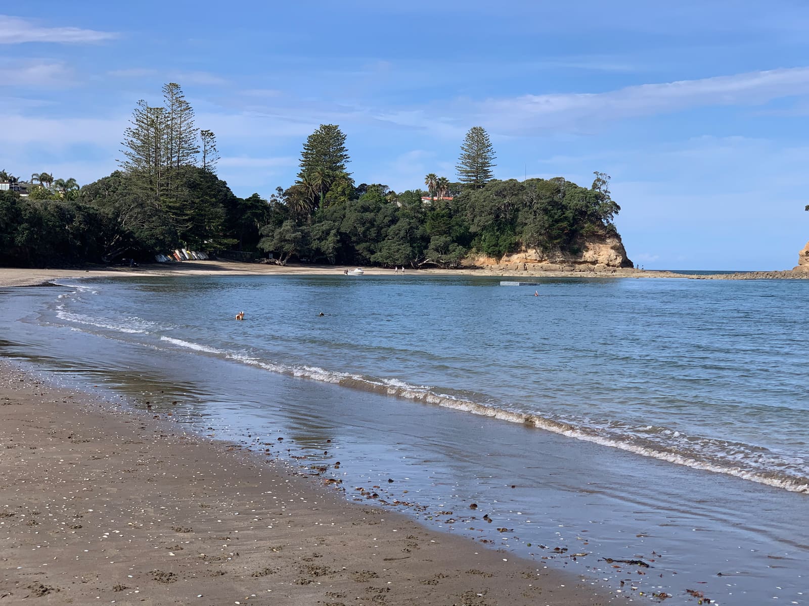 Waiake Beach and the Tor from the northern end