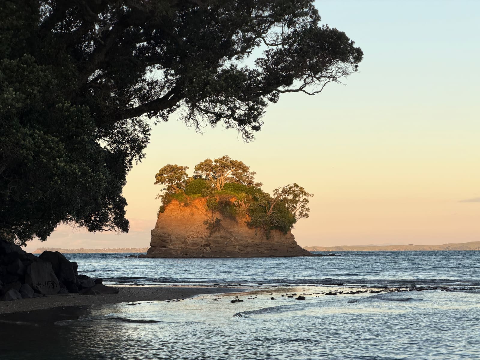 The Tor lit gold, framed by pōhutukawa branches
